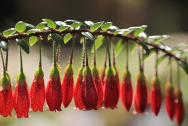 珠海金湾区6私人快速借钱网，轻松解决资金难题