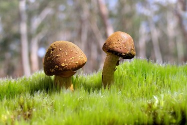 珠海金湾区6私人老板放款：轻松融资的秘密通道